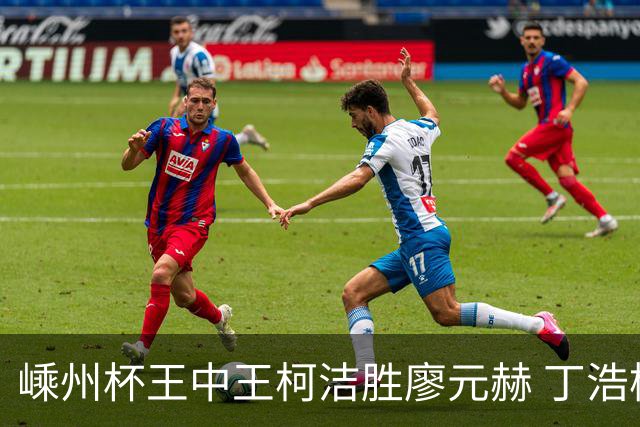 嵊州杯王中王柯洁胜廖元赫 丁浩杨鼎新进败者组